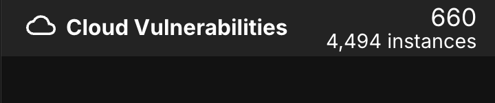 Total count of distinct vulnerabilities and vulnerability instances
